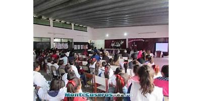 Imagen de la galería