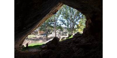 Imagen de la galería