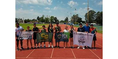 Imagen de la galería