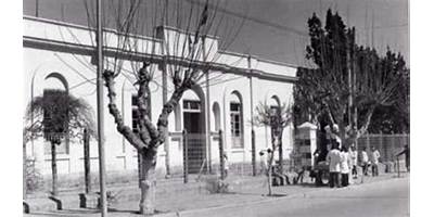 Imagen de la galería