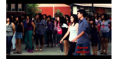 Imagen de la galería