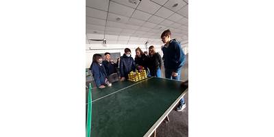 Imagen de la galería