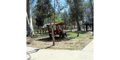 Imagen de la galería