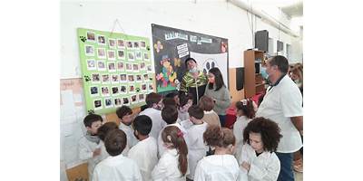 Imagen de la galería