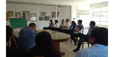 Imagen de la galería