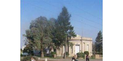 Imagen de la galería