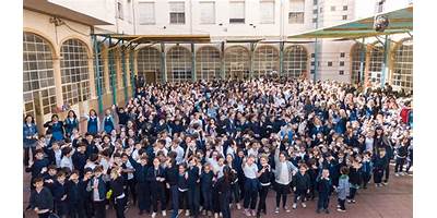 Imagen de la galería