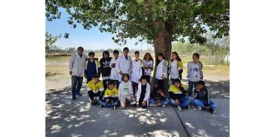 Imagen de la galería