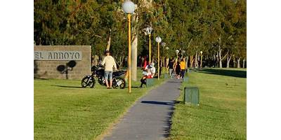 Imagen de la galería