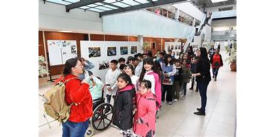 Imagen de la galería