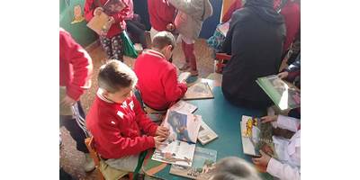 Imagen de la galería