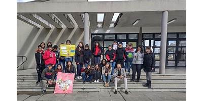 Imagen de la galería