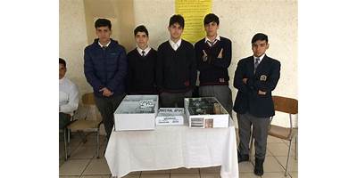 Imagen de la galería