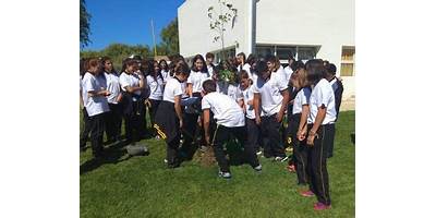 I.F.E.S. COLEGIO SECUNDARIO