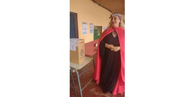 Imagen de la galería