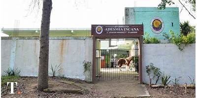 INSTITUTO ADESMIA INCANA