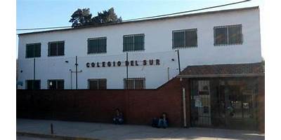 INSTITUTO DEL SUR