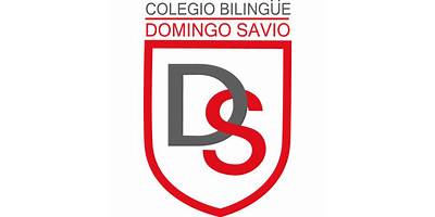 INSTITUTO DOMINGO SAVIO