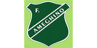 INSTITUTO FLORENTINO AMEGHINO