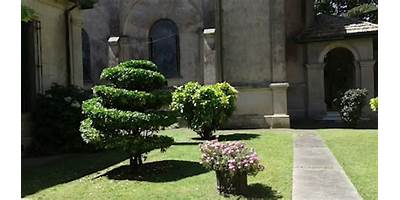 Imagen de la galería