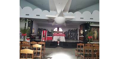 Imagen de la galería