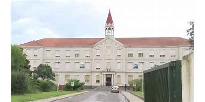 INSTITUTO VERBO DIVINO