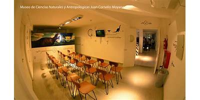 Imagen de la galería