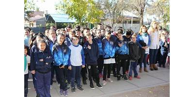 Imagen de la galería