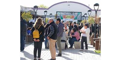 Imagen de la galería