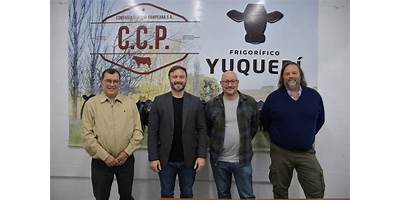 Imagen de la galería