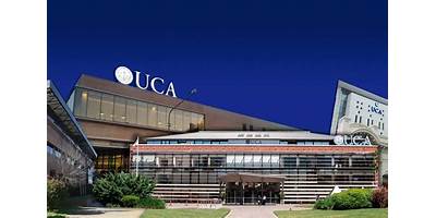 Imagen de la galería