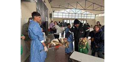 Imagen de la galería