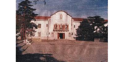 Imagen de la galería