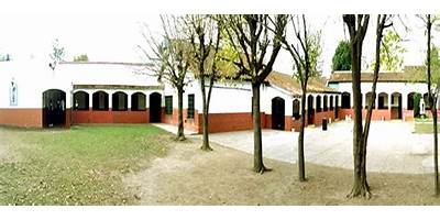 VICENTE CHAS