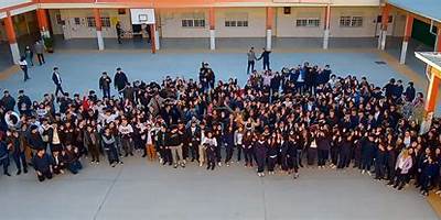 C.D.I PICAFLOR