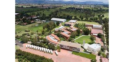 C.D.I.C. LOS NOGALES