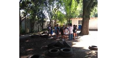 COLEGIO ARBOL DEL NORTE