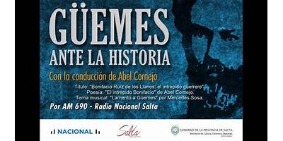 CORONEL BONIFACIO RUIZ DE LOS LLANOS EX N°542