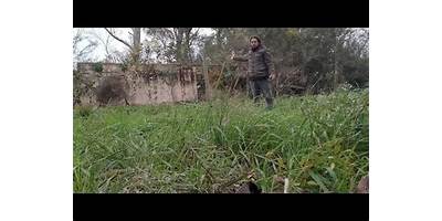 EL VIEJO PANCHO 112
