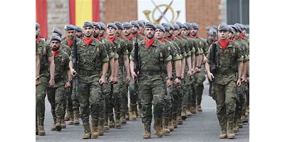 ESC. N° 317 V BRIGADA DE INFANTERIA