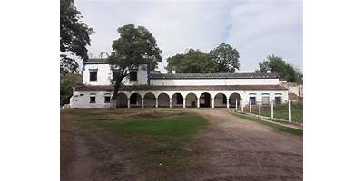 ESC. N° 334