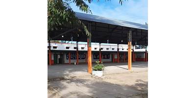 ESC. N° 99 PROV. DE RIO NEGRO