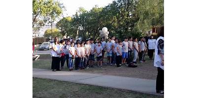 Imagen de la galería