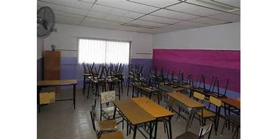 ESCUELA DE EDUCACIÓN PRIMARIA Nº33 GUILLERMO ENRIQUE HUDSON