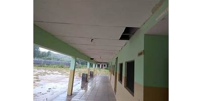 ESCUELA N° 335