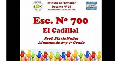 ESCUELA N° 700