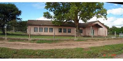 ESCUELA Nº 875