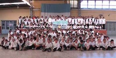 ESCUELA NRO 163 DOMINGO FAUSTINO SARMIENTO