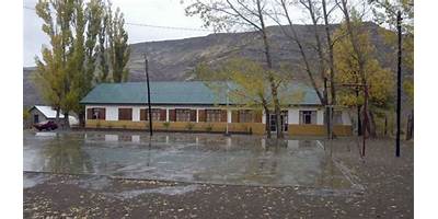 ESCUELA PRIMARIA 206