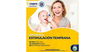 CENTRO REGIONAL DE ESTIMULACION TEMPRANA NRO 2132
